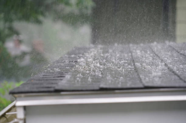 Best Skylight Installation and Repair  in Covedale, OH